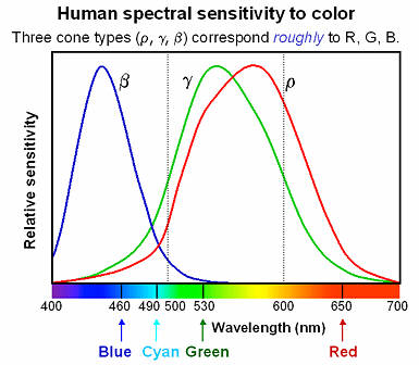 人眼的光谱响应函数